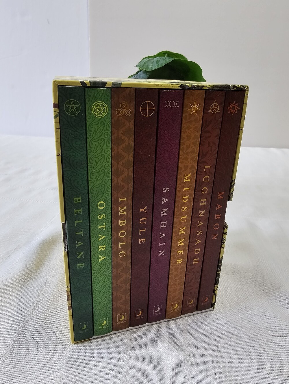 Llewellyn's Sabbat Essentials Complete 8 Book Boxed Set Wicca PaganDesc